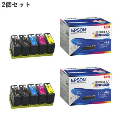 【2個セット】エプソン 純正 インクカートリッジ 06系メガネ 5本パック IB06CL5A-2SET ブラック×2 シアン マゼンタ イエロー