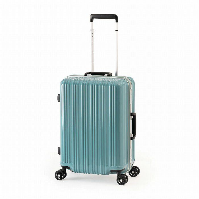 アクリル製 バードキャリー A.L.I ハードキャリーケース Magicalouis マジカルイス 1～3泊 36L ALI